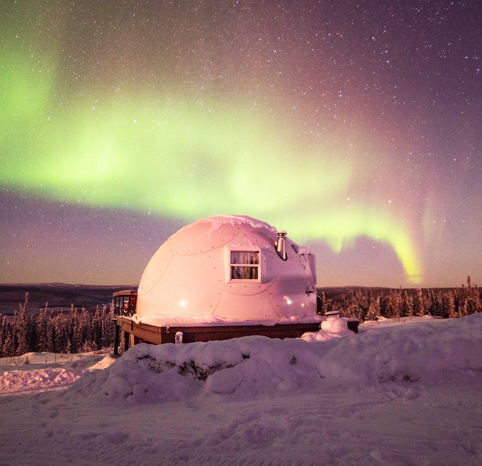 arctic igloo under the northern lights