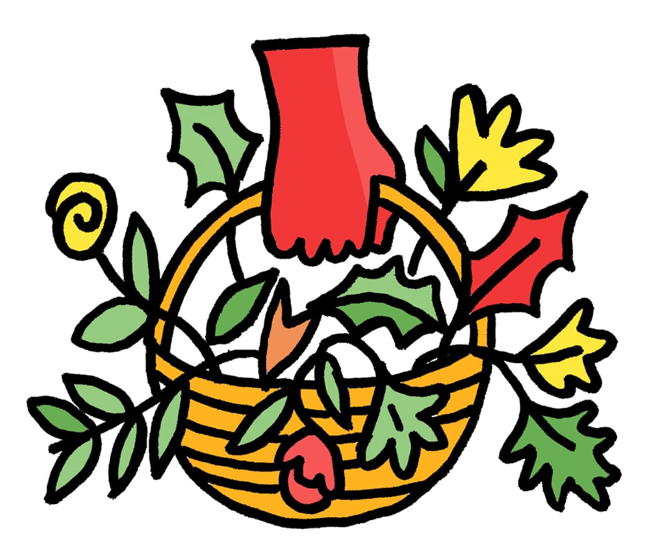 hand holding basket of flowers illustration