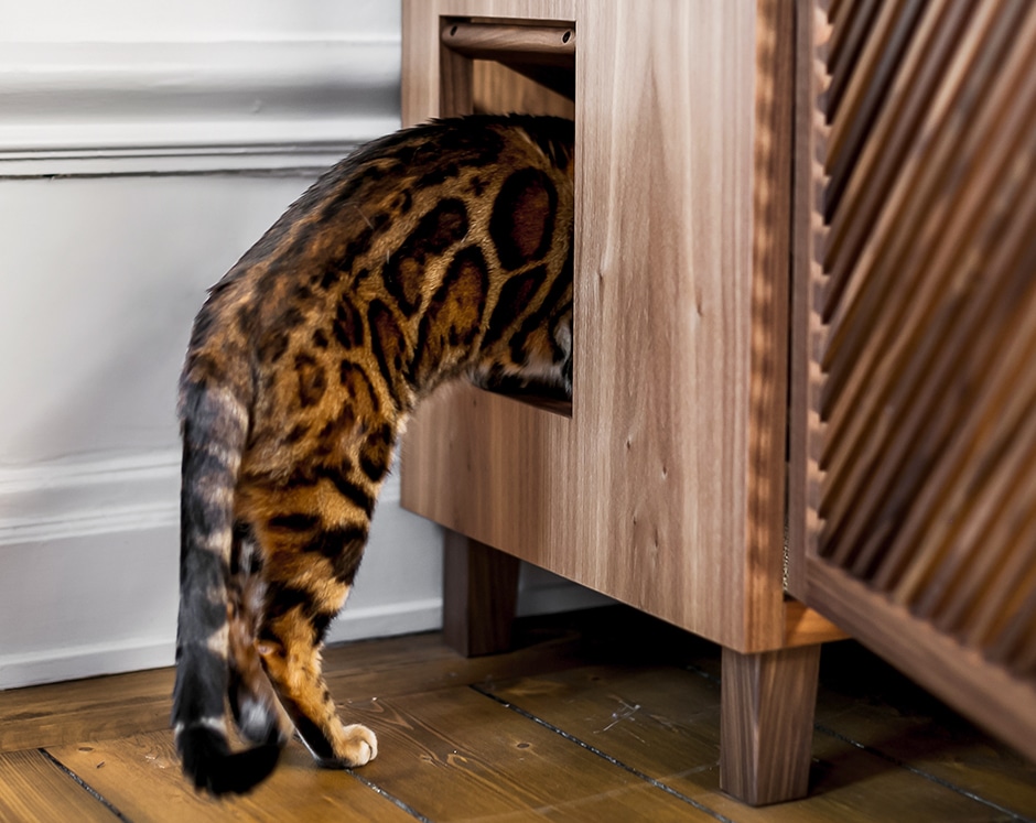cat climbing into wooden cabinet house