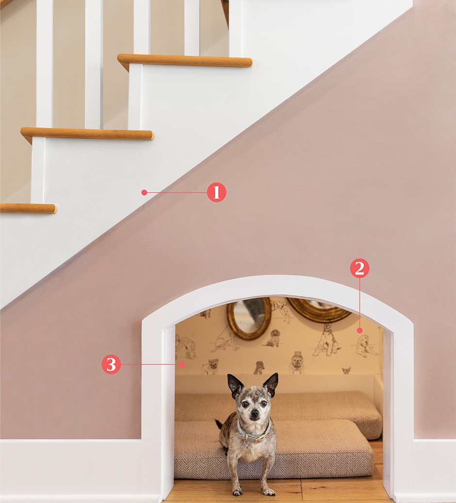 dog in nook under stairway with number labels