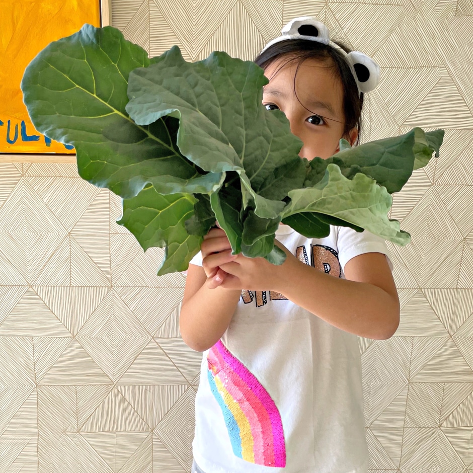 child holding large green leaves