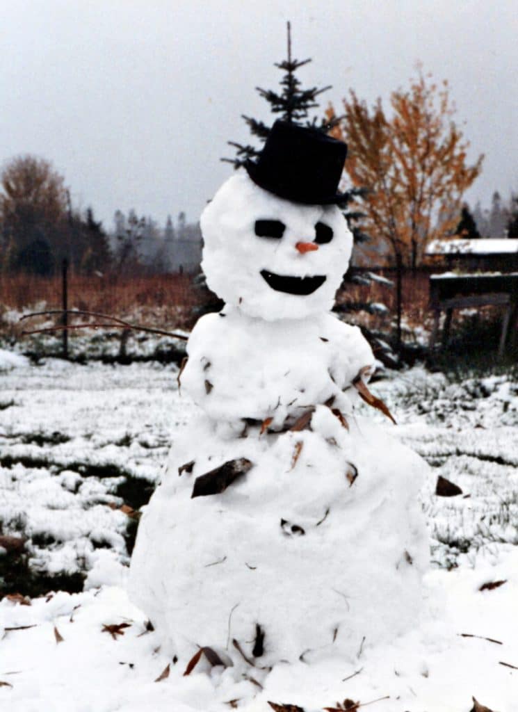 snowman wearing a top hat
