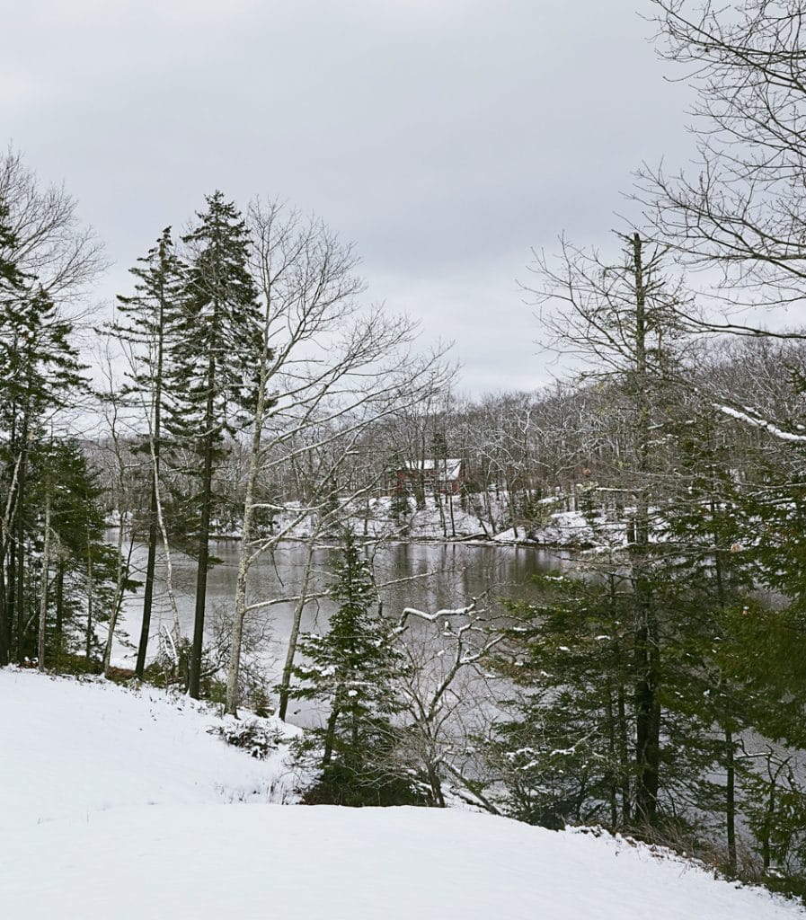 snowy tree line by lake in Maine