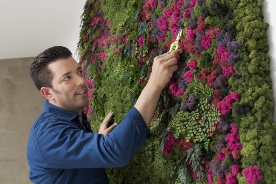 jonathan grooming a living wall in the home