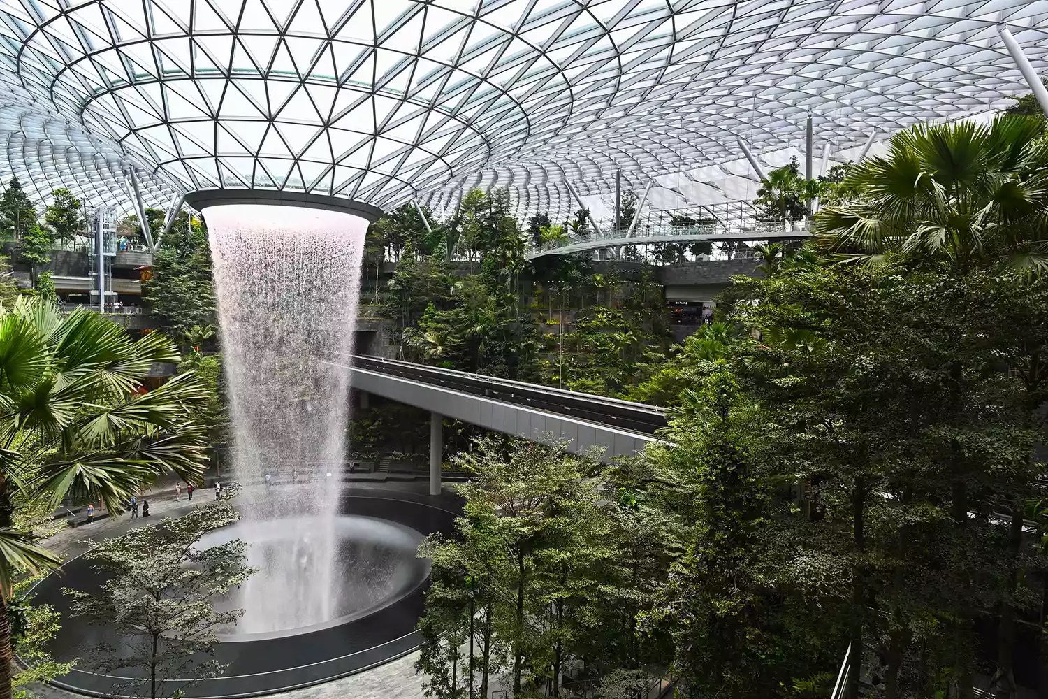 singapore airport living wall