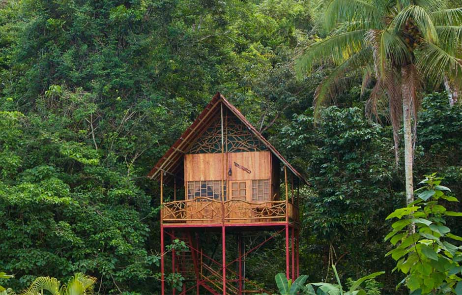 treehouses on airbnb