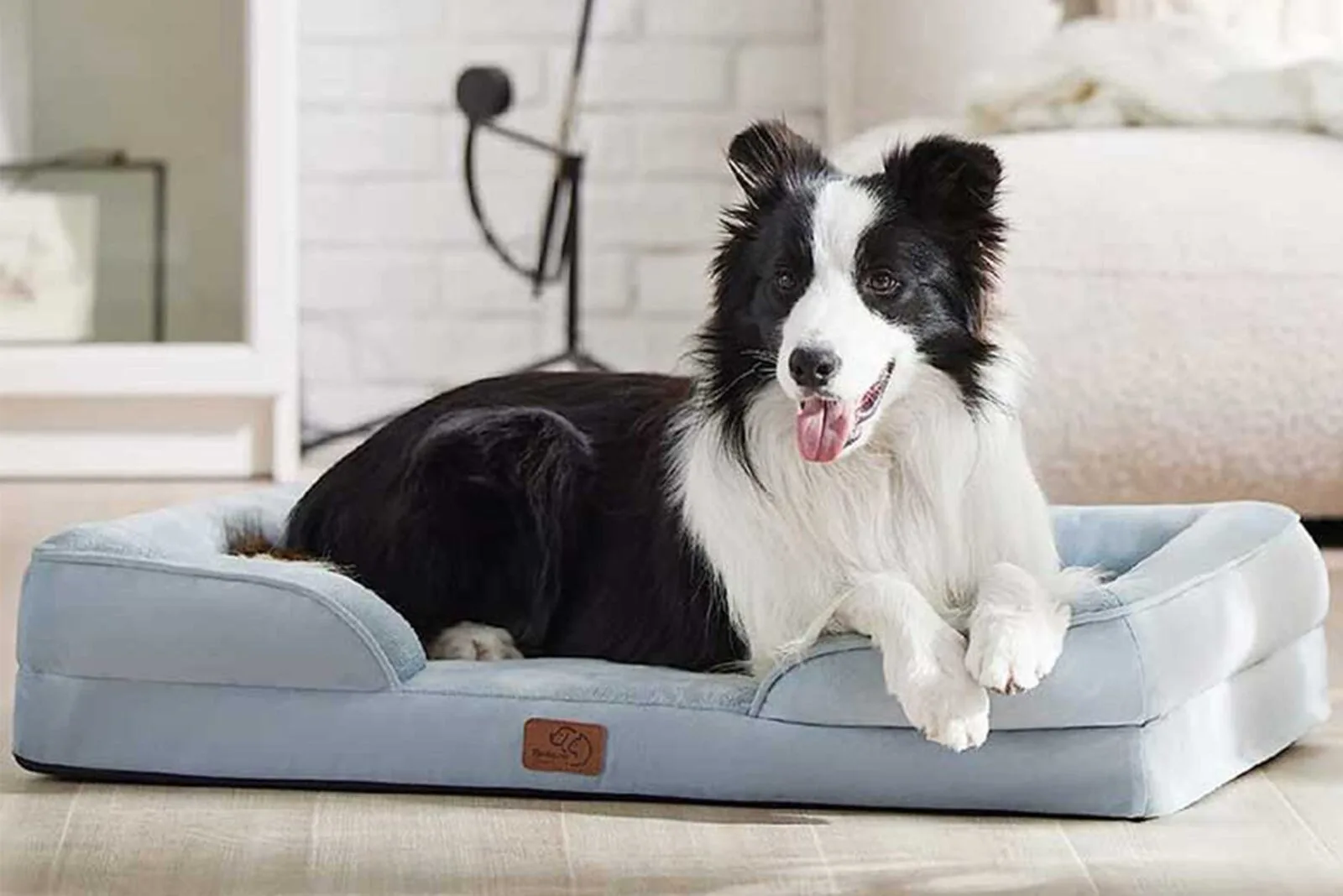 https://www.drewandjonathan.com/wp-content/uploads/2023/08/best-dog-beds-2.jpg