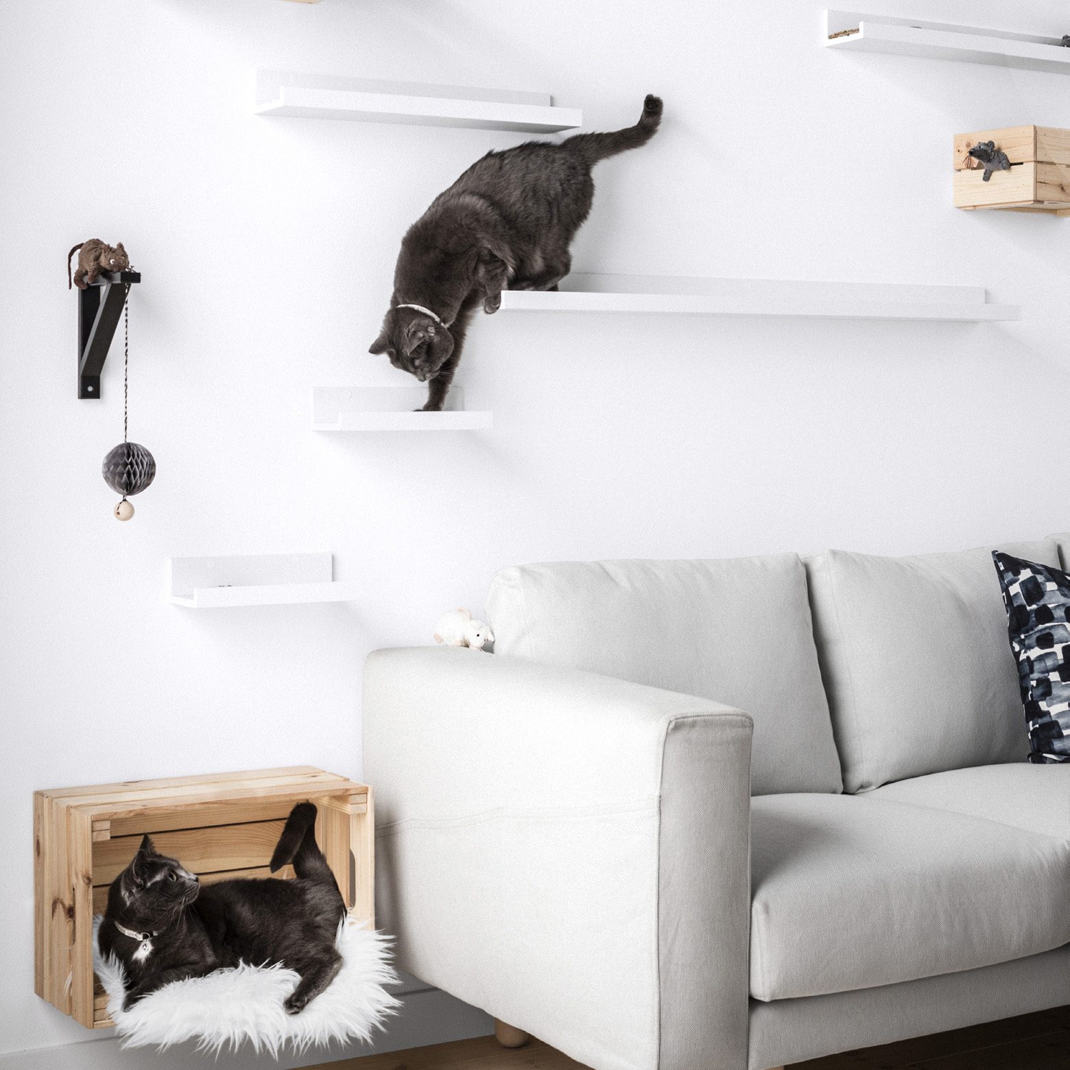 cats playing on floating shelves