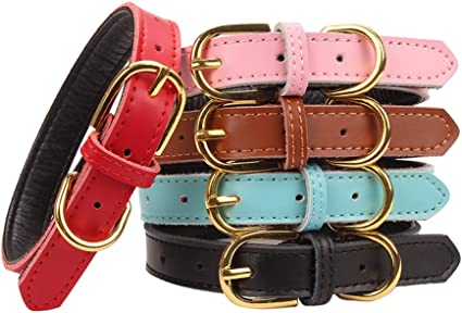 15 Cute Dog Collars That'll Have Your Pup Looking ~So Fetch~