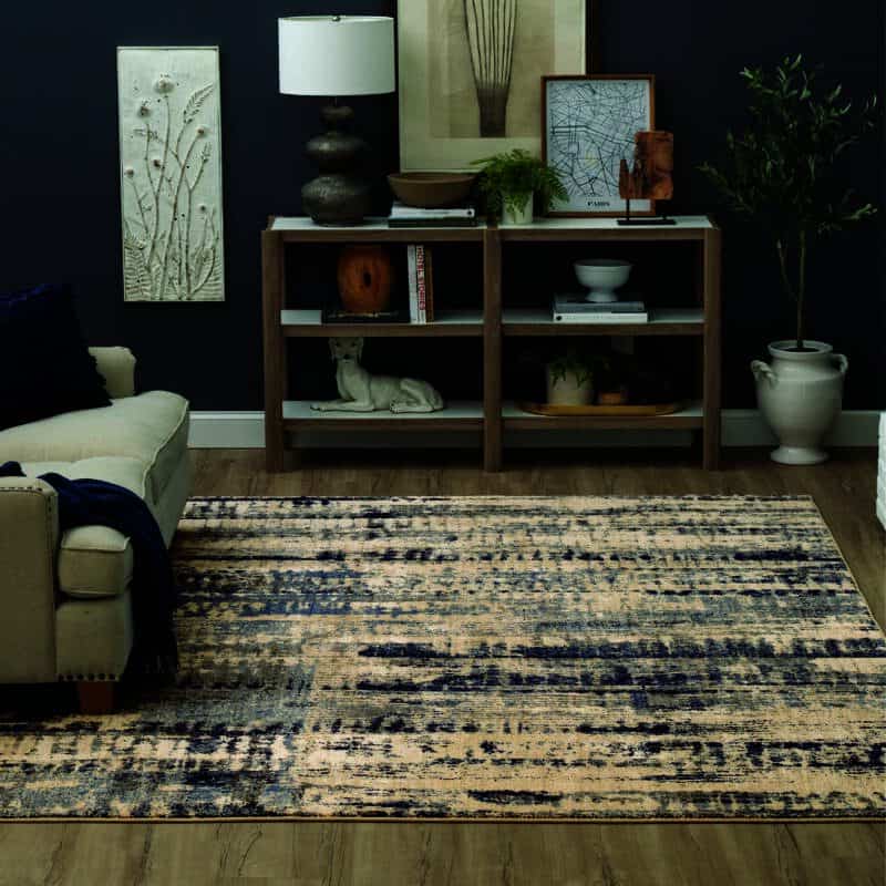 Living room with abstract rug, modern bookshelf, and decorative accents