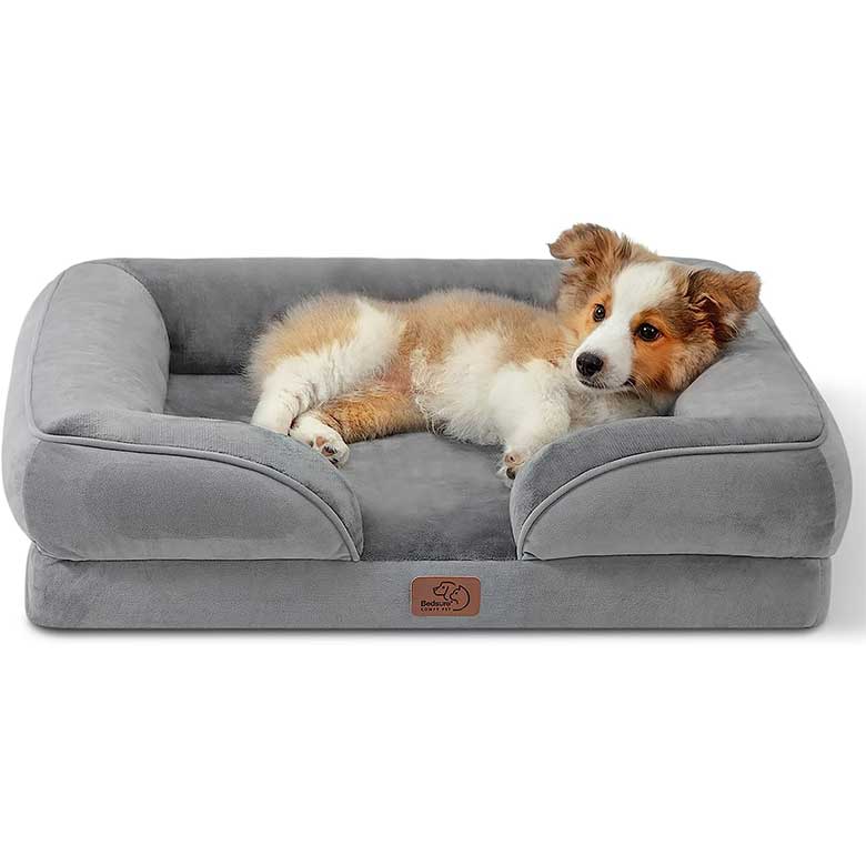 Small dog relaxing on a gray pet bed with raised sides