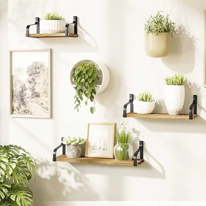 Extra Firm Modern Metal Wall Plant Hanger