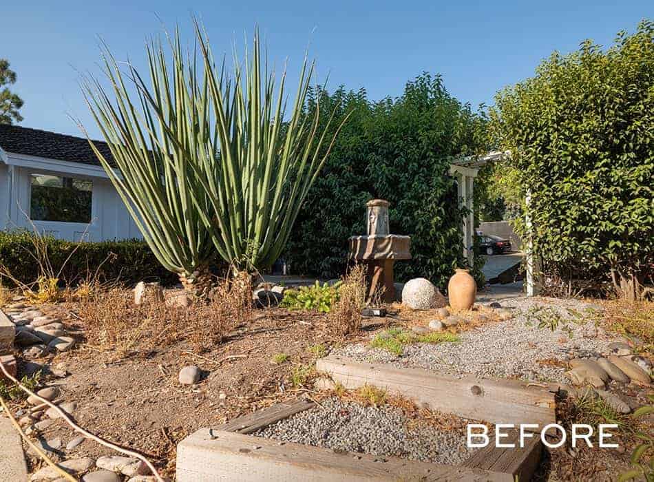Before image of an outdoor garden with a large agave plant, gravel pathway, pottery, and a small water fountain