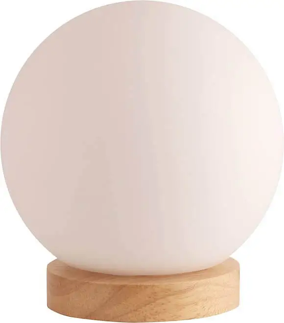 Globe lamp