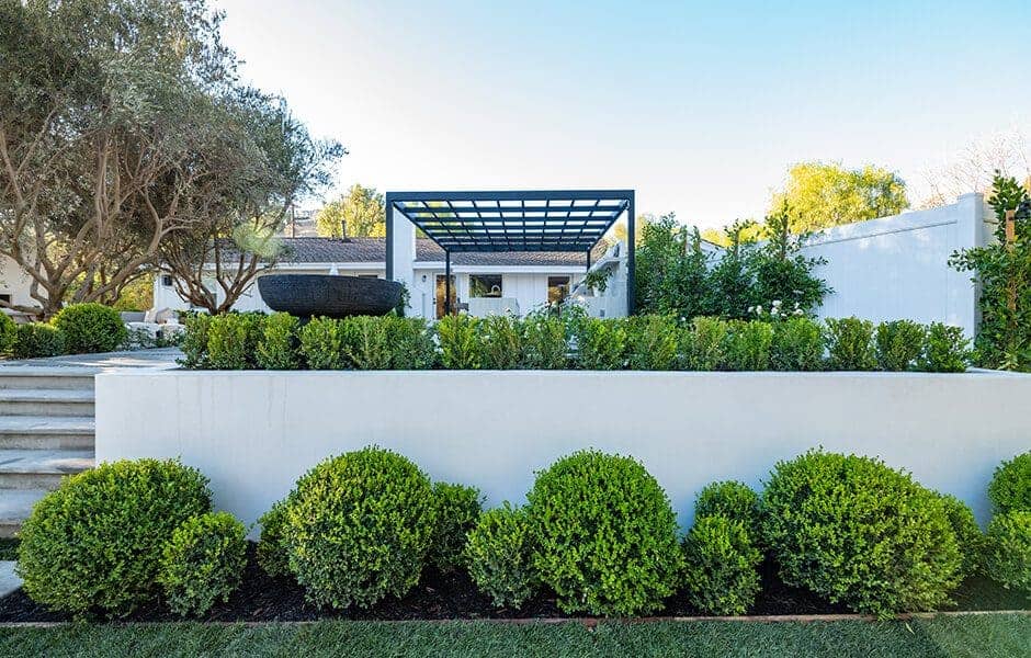 A well-maintained garden with boxwoods and a pergola in the background