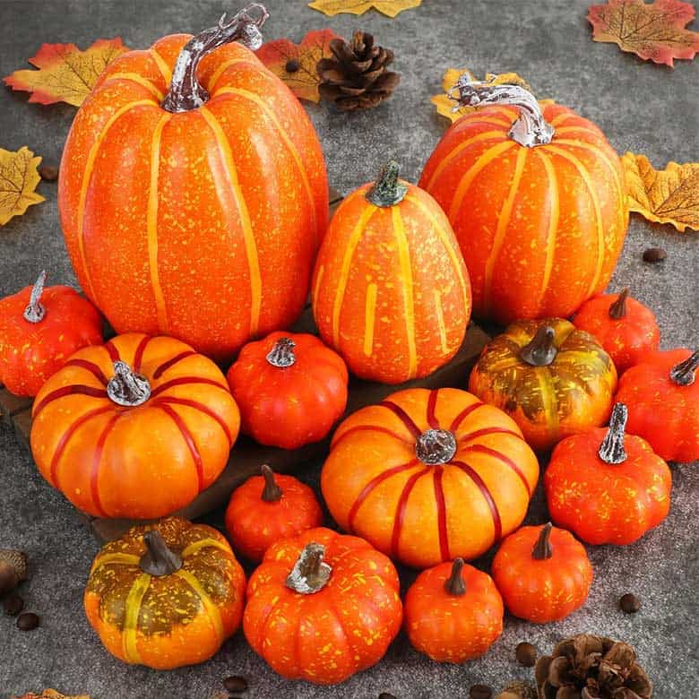 Assorted decorative pumpkins with autumn leaves and pinecones