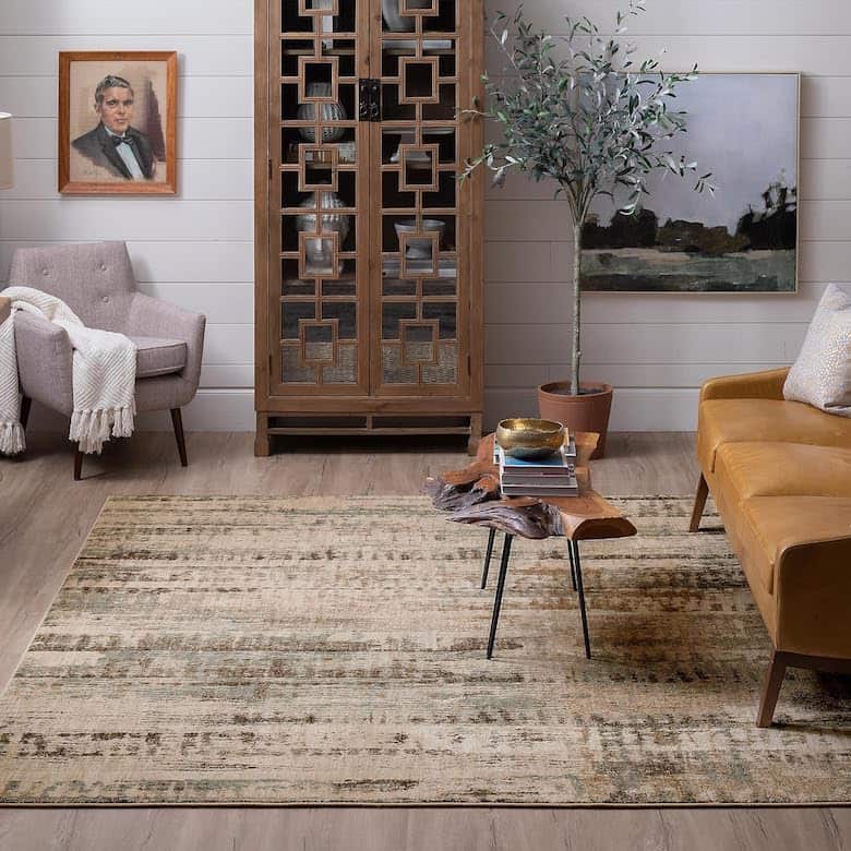 Scott Living Ephemeral Light Gray Rug