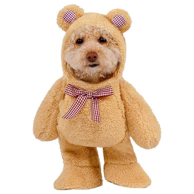 bear dog halloween costume