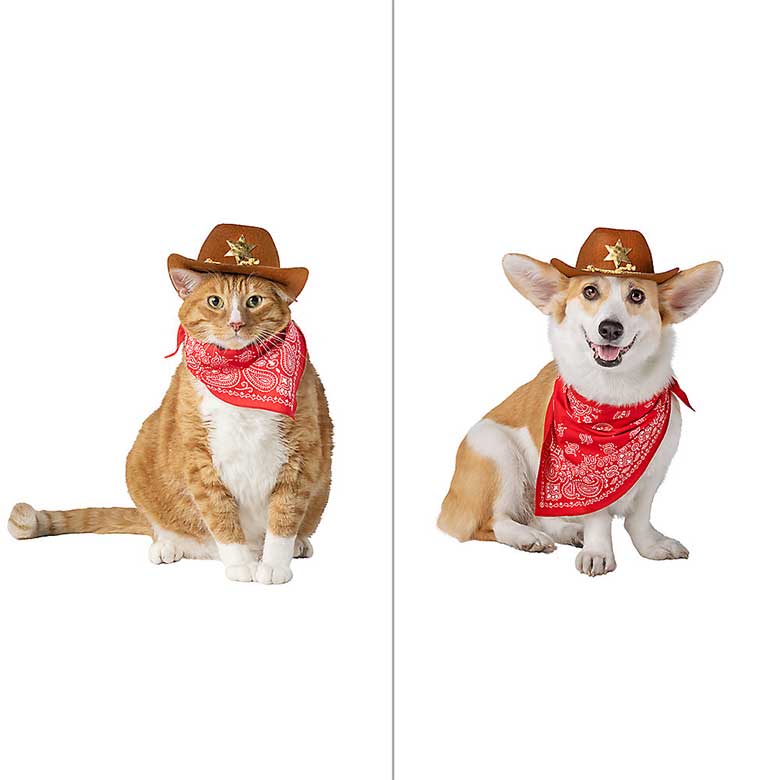 best pet halloween costumes for cats and dogs