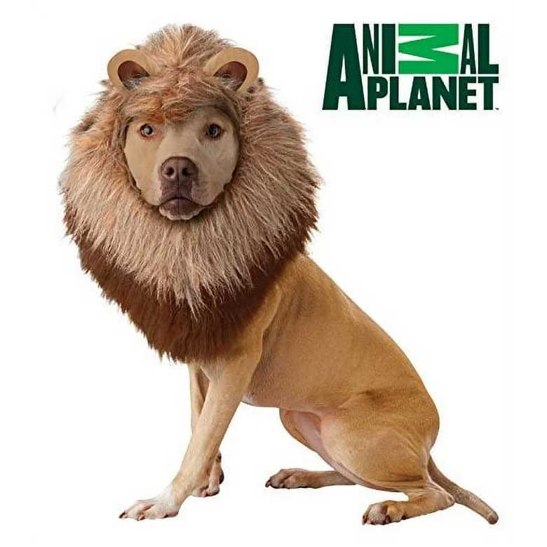 lion costume for dogs