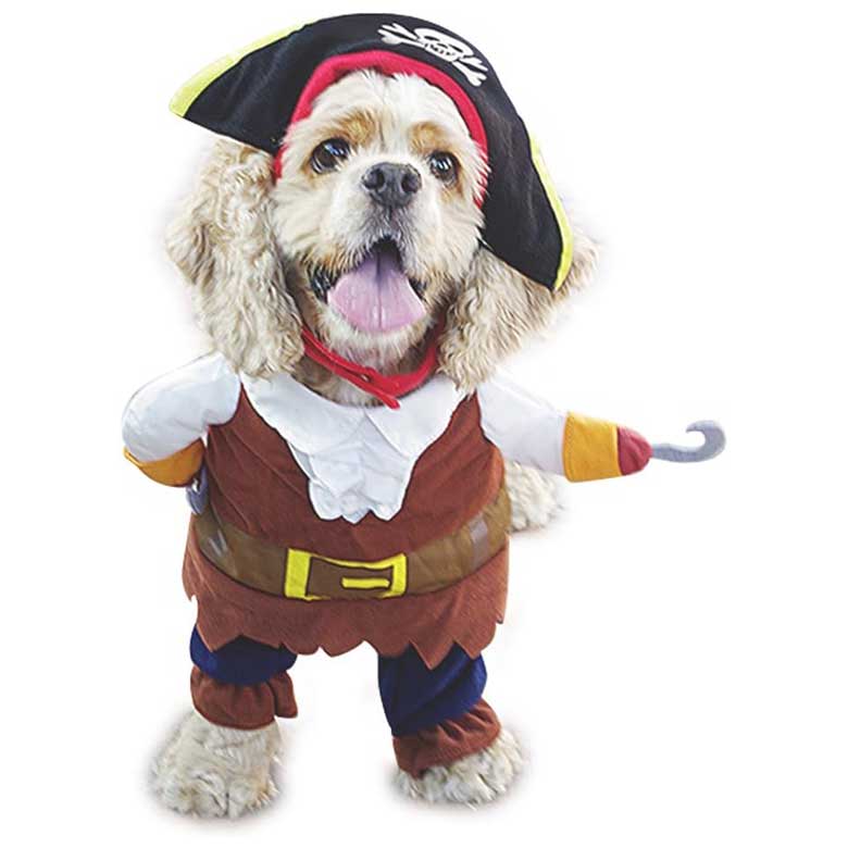 pirate costume for pets