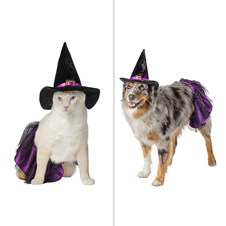 best pet halloween costumes