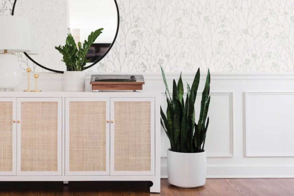 Stylish entryway with a white cabinet, round mirror, and potted plants