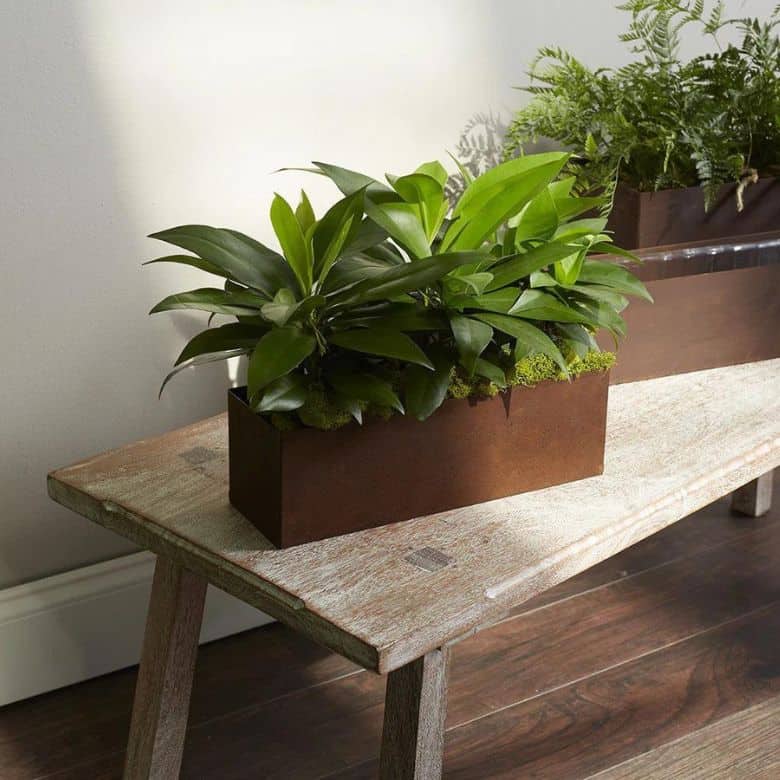 Accent Decor Metal Planter Box