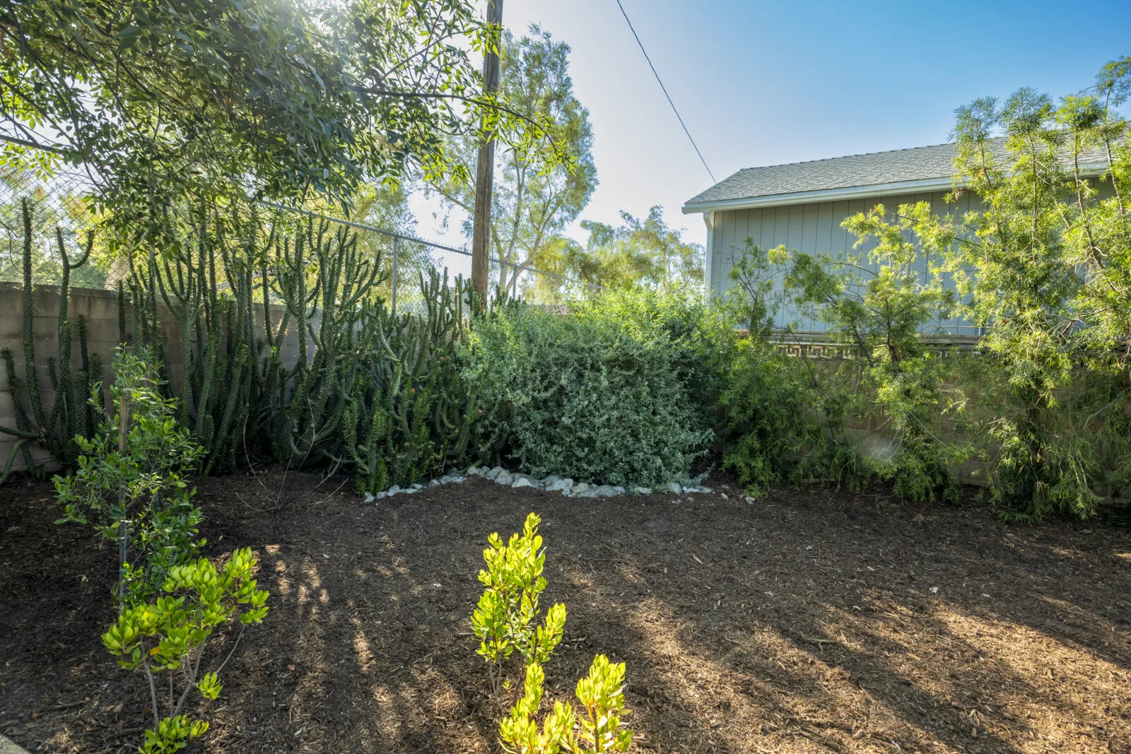 mayim bialik celebrity iou before backyard