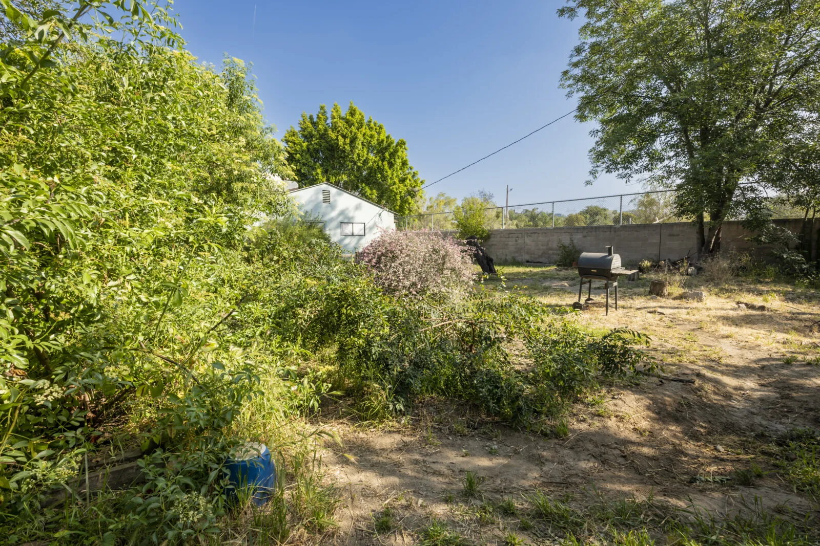 mayim bialik celebrity iou before backyard