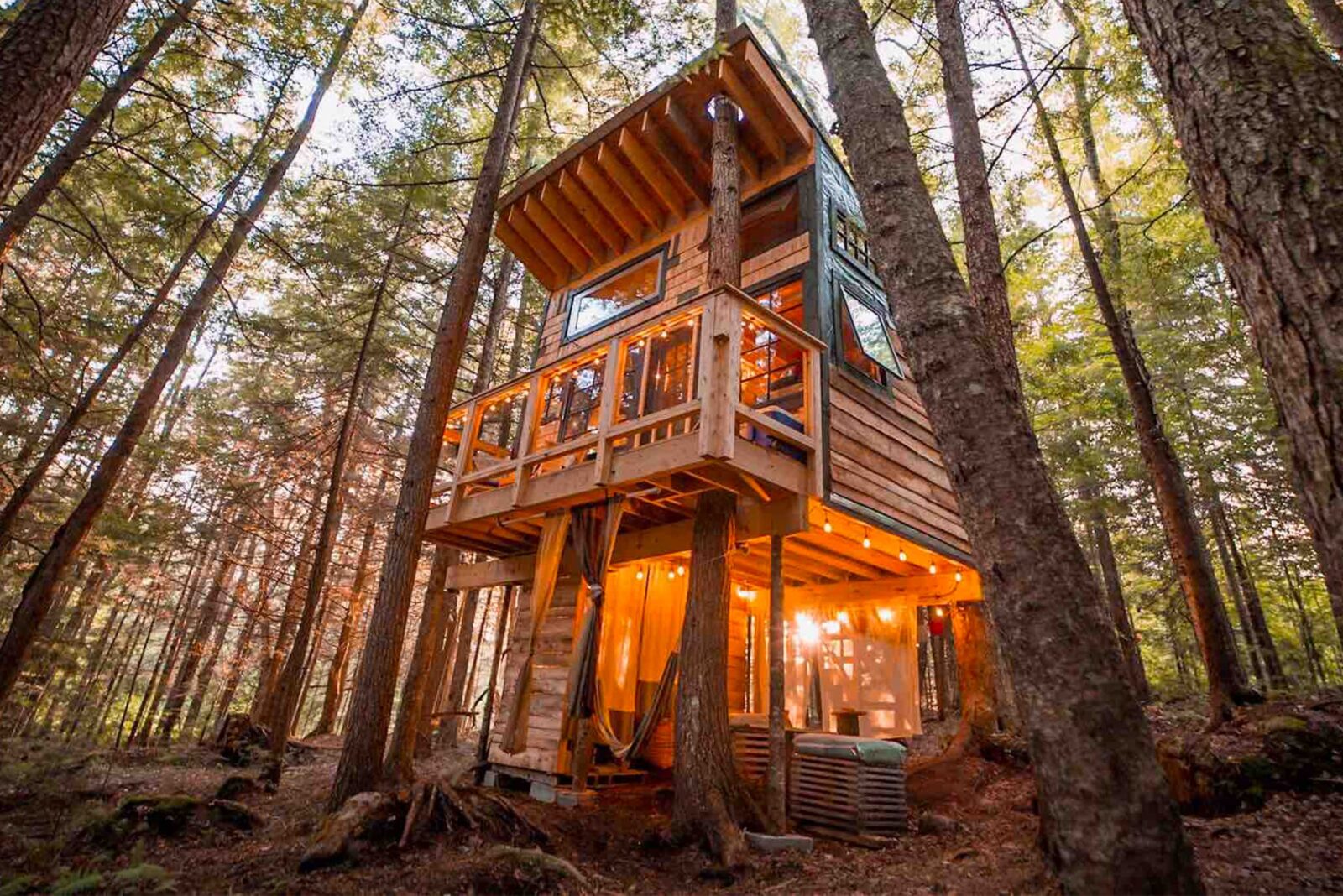 treehouse for rent on airbnb