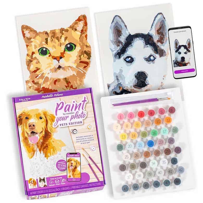 paint by numbers pet portrait