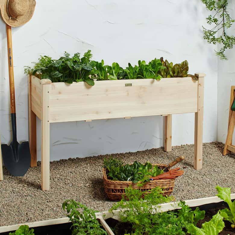 raised garden bed