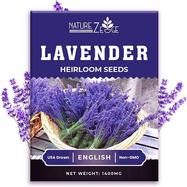 lavendar seeds