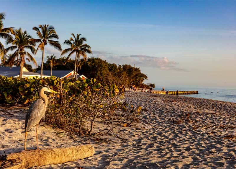 sanibel island blind pass florida