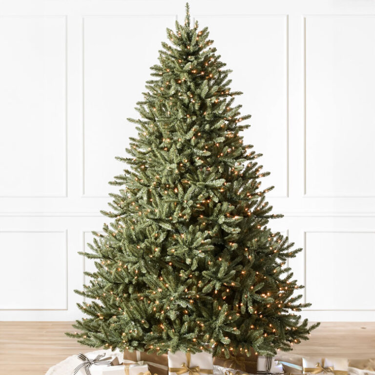 Classic Blue Spruce Christmas Tree Drew & Jonathan