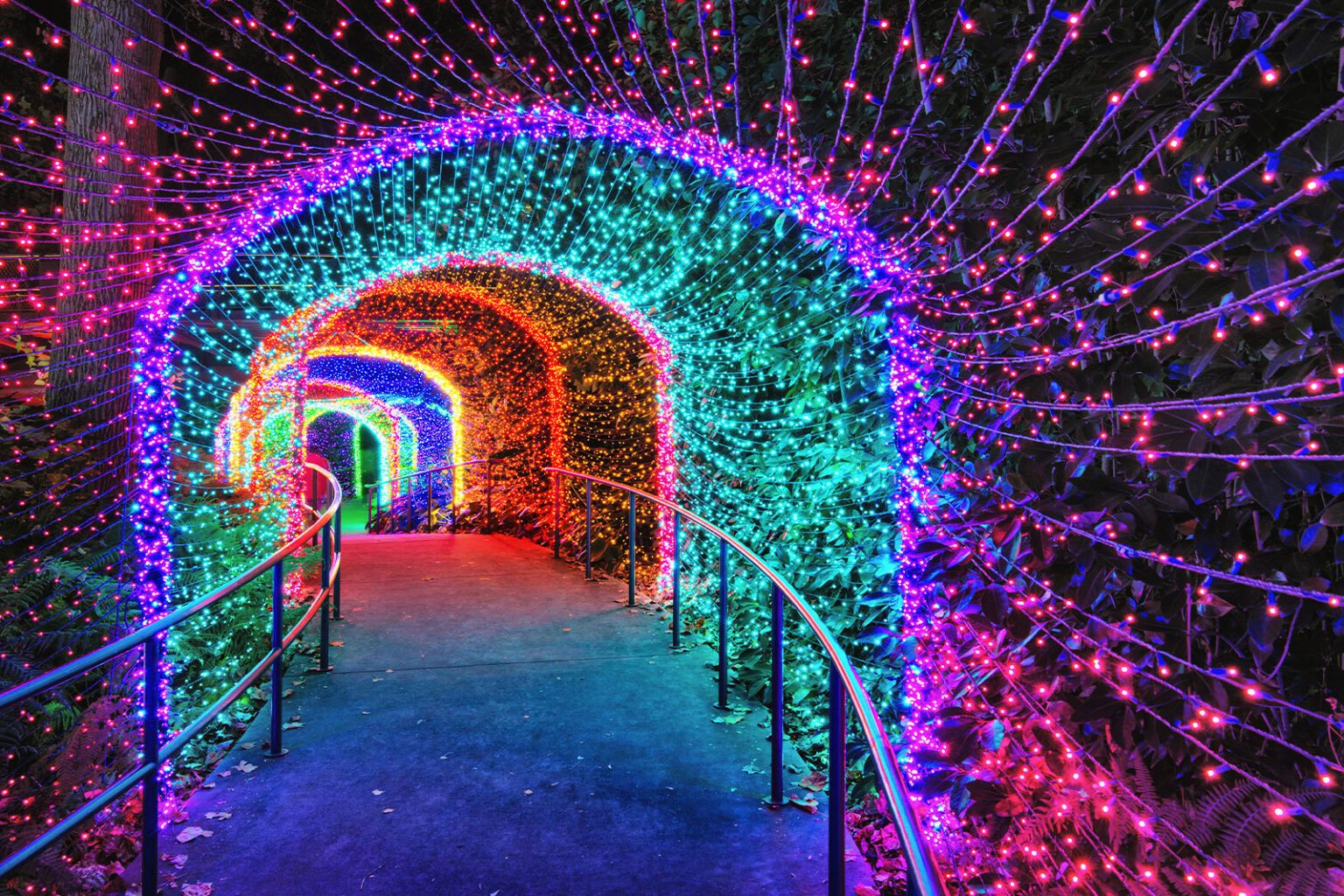 where-to-find-the-best-christmas-light-displays-near-you