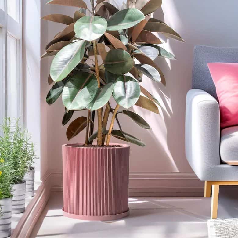 large pink planter pot