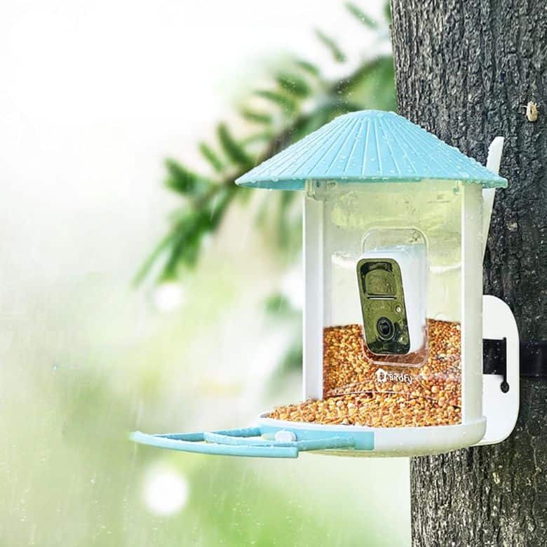 Smart Bird Feeder with Solar Powered Camera