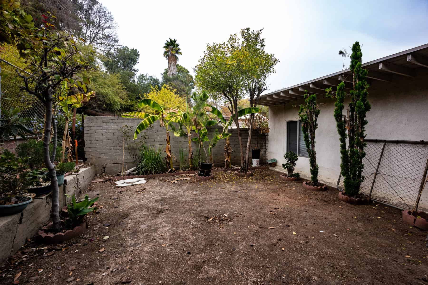 Simple backyard with trees, potted plants, and dirt ground